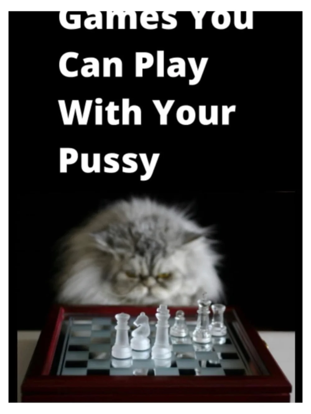 Funny Adult Cat Chess Novelty Notebook Blank Page Gag Gift
